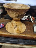 IMG_20220808_162704044.jpg
