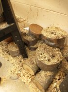 IMG_20220826_100759203.jpg