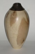 Holly & BW 11 x 6in.JPG