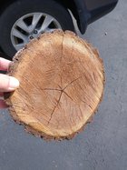 IMG_20220912_105244193.jpg