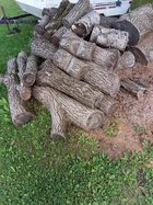 20220912_145808.jpg