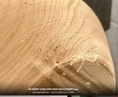 wood species ??.jpg