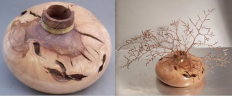 Split Apple graft.jpg