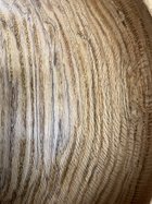 IMG_0117.jpeg