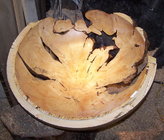 plywood removed.jpg