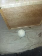 20221109_134834.jpg 20221109_134834.jpg