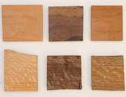 _DSC5340.jpg _DSC5340.jpg