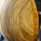 ring shank1.jpg