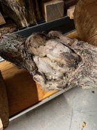 IMG_0673.jpeg