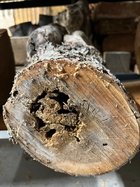 IMG_0678.jpeg
