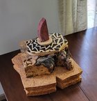 20221130_140729.jpg
