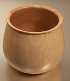 American Beech.jpg