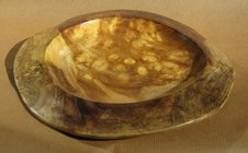 Mulberry root - 10 x 11in.JPG