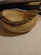 anotherdogbowl.jpg