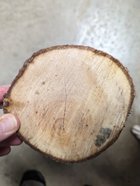 log example.jpg log example.jpg