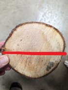 log example cut 1.jpg