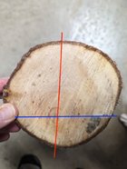 log example.jpeg