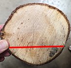 log example.jpg