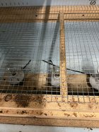 IMG_0954.jpeg