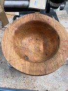 IMG_0867.jpeg IMG_0867.jpeg