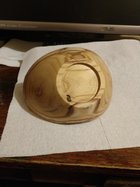 IMG_20230121_100352137.jpg
