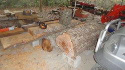 logs.JPG