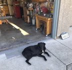Maggie & Shop.jpg