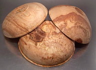 Apple recess depts differ, to sound wood.jpg