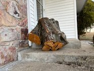 IMG_2247.jpg