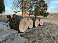 IMG_2248.jpg