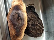 twoburls2ndview.jpg