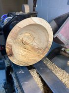 spalted hickory.jpg