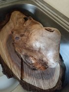 IMG_20230217_120531005.jpg