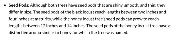 Seedpods.jpg