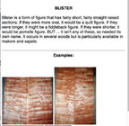 Blister figure.jpg