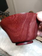 IMG_20230220_180031392.jpg
