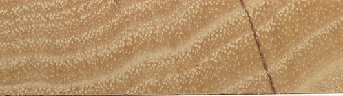 pecan end grain closeup.jpg pecan end grain closeup.jpg