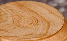 Elm wood grain showing.jpg Elm wood grain showing.jpg