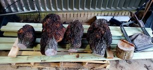 Cherry Burls 2.jpg