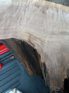 IMG_20230308_174750515.jpg