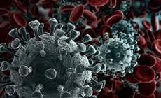 coronavirus.jpg coronavirus.jpg