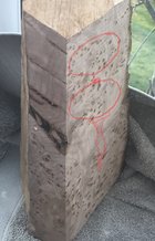 090EA869-B30B-4B24-9577-7CA97570D1B6.jpeg