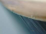 Tantung edge near tip after test run.jpg