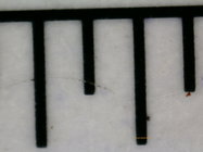Scale - half mm increments at 200x.JPG