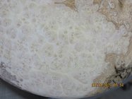 burl bowl 1.jpg