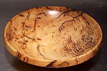 2 types of worms in this wood.jpg