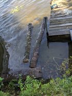 IMG_20200819_163110.jpg