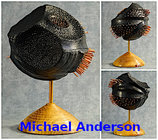 Michael Anderson small.jpg