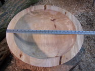 Sycamore ready for drying.jpg