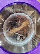 20230424_150023.jpg